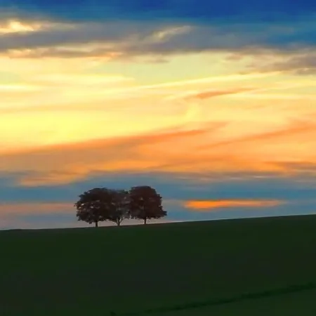 度假居 Ferienhaus Eifelcottage Am Waldseepfad - Badesee Traumferienhaeuser-eifel Rieden (Mayen-Koblenz)