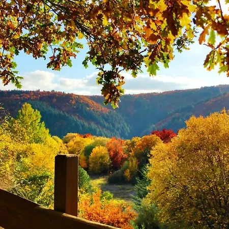 Ferienhaus Eifelcottage Am Waldseepfad - Badesee Traumferienhaeuser-eifel 度假居