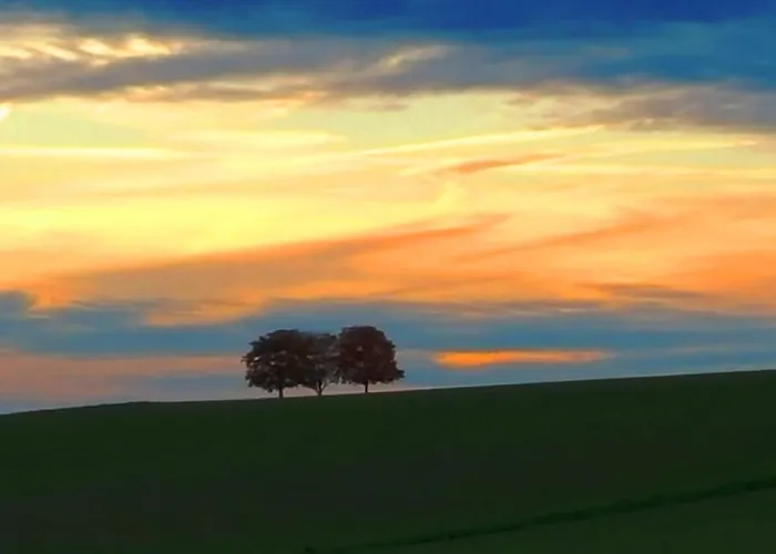 Holiday home Ferienhaus Eifelcottage Am Waldseepfad - Badesee Traumferienhaeuser-eifel Rieden (Mayen-Koblenz)