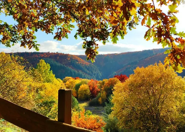 Ferienhaus Eifelcottage Am Waldseepfad - Badesee Traumferienhaeuser-eifel Holiday home