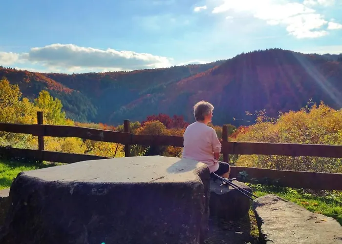 Ferienhaus Eifelcottage Am Waldseepfad - Badesee Traumferienhaeuser-eifel Holiday home Rieden (Mayen-Koblenz)