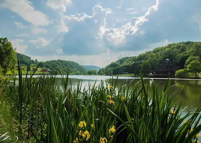 Ferienhaus Eifelcottage Am Waldseepfad - Badesee Traumferienhaeuser-eifel Holiday home
