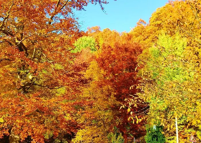 Holiday home Ferienhaus Eifelcottage Am Waldseepfad - Badesee Traumferienhaeuser-eifel *